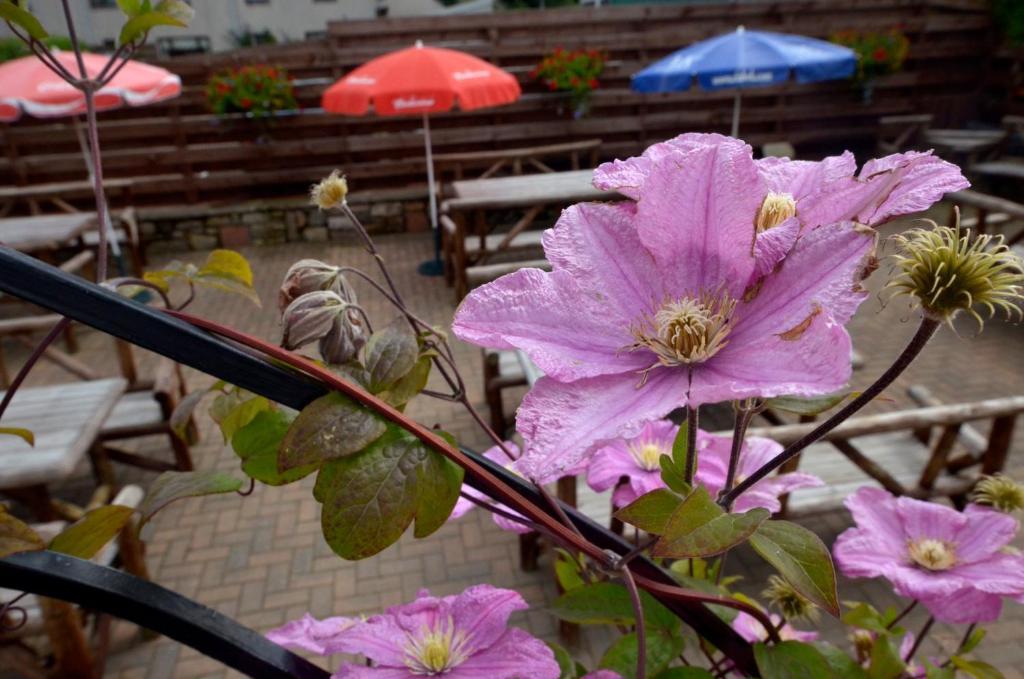 Auld Cross Keys Inn Джедборо Номер фото